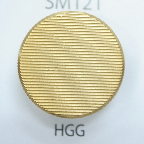 SM121-HGG
