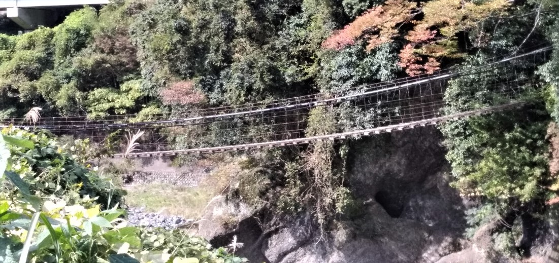 Scary Suspension Bridge