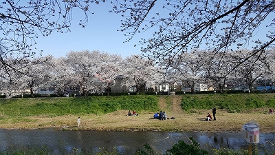 15年来のお付き合い