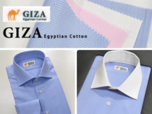 GIZA cotton