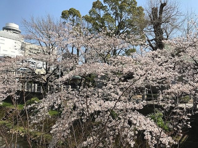 裏地はカラフルに♪♪