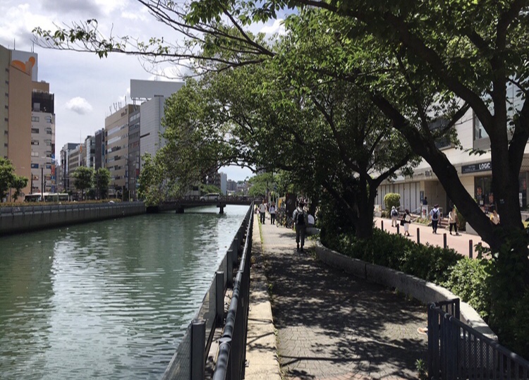 横浜エリアからのお知らせ