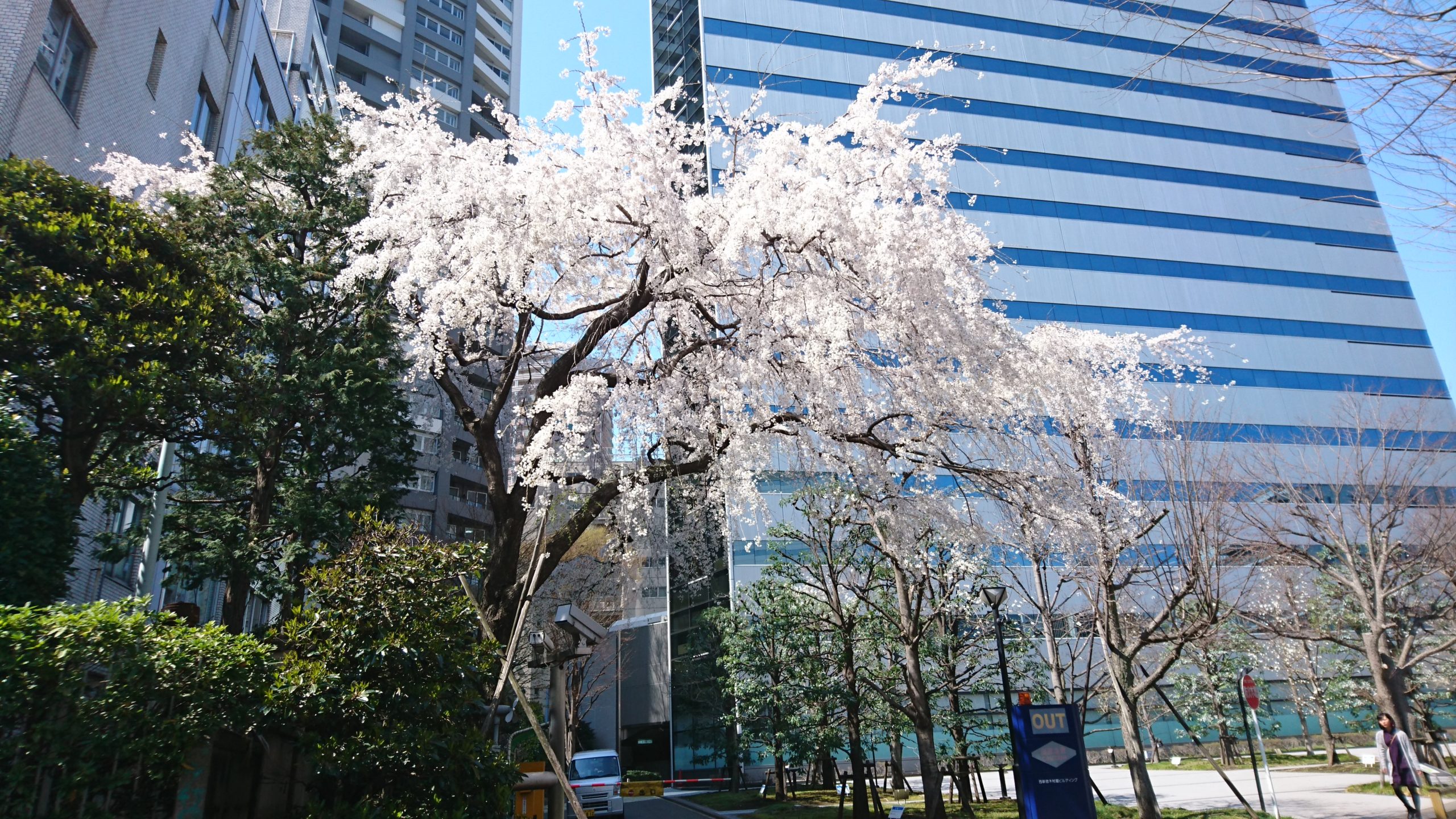 池袋でも渋谷でも新宿でも。