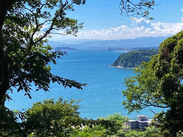 意外と大切な需要が？？👔夏真っ盛りから入れ替え始まります