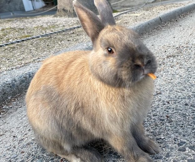 春夏新作が続々と。フェアも開催！＆四国へ行ってきました☺