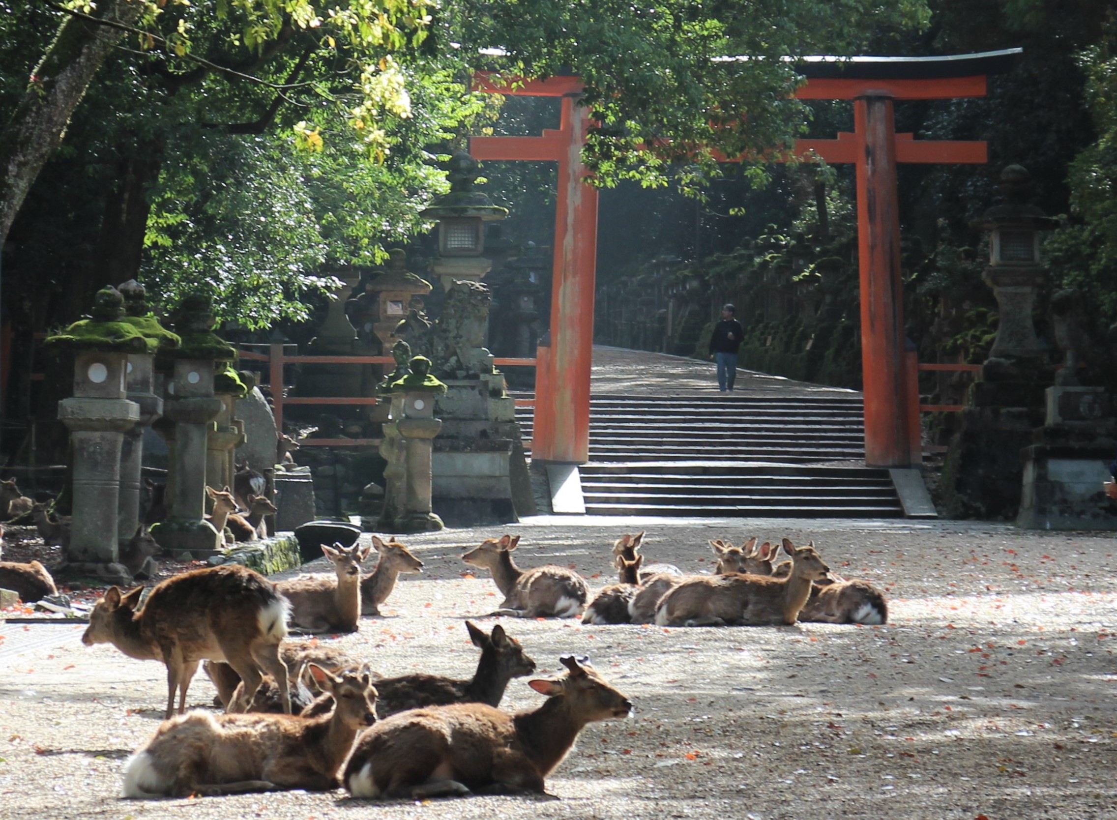 たまには旅行も良いですね！