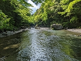 新生活には慣れましたか？