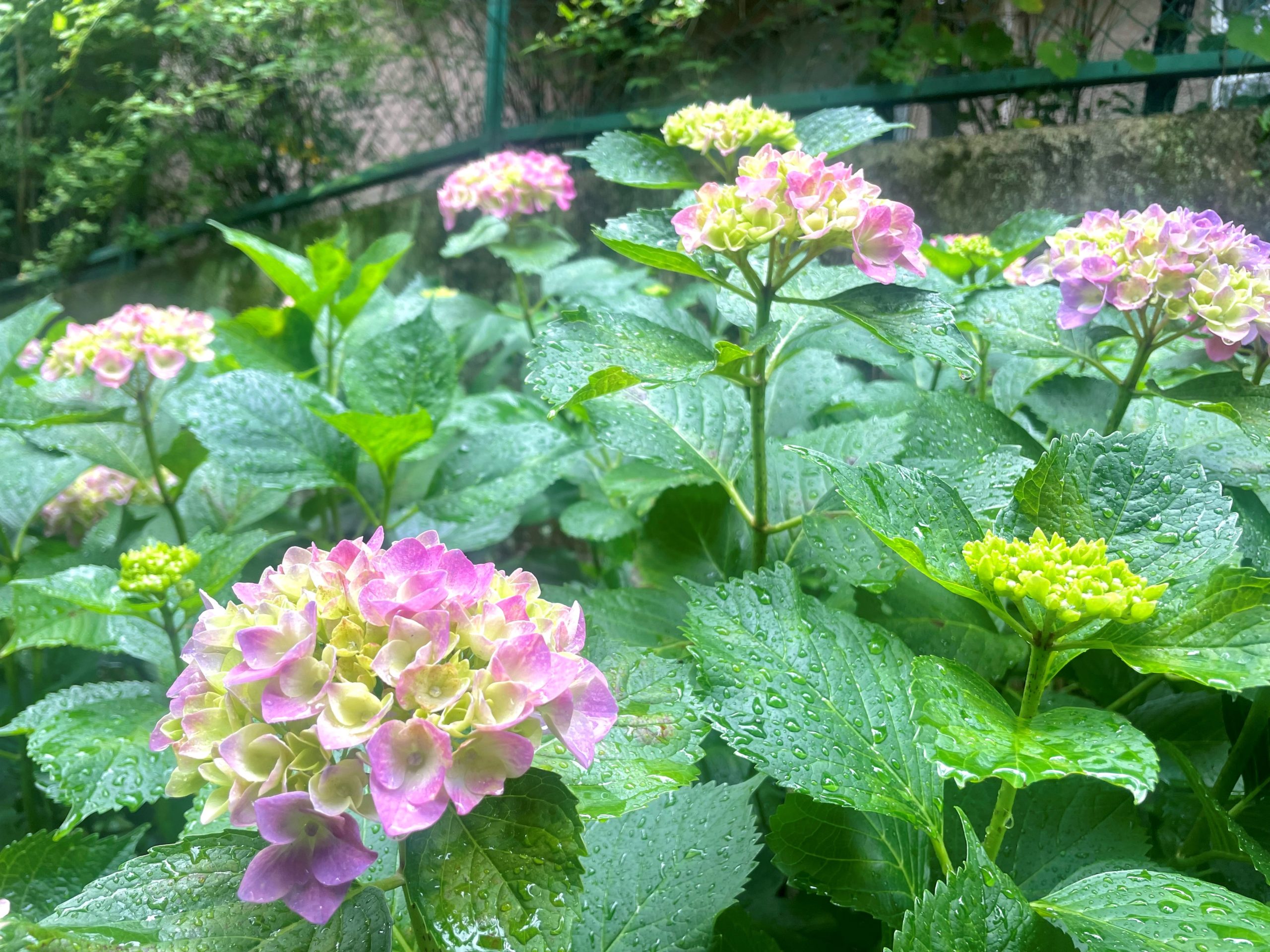 『梅雨の時期に着るスーツ』