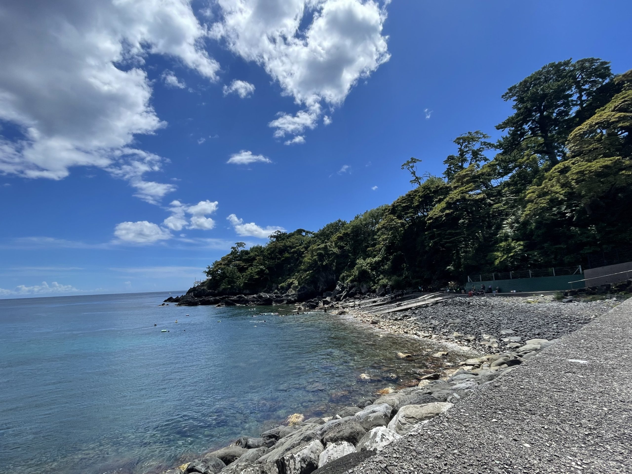 暑いけど夏は楽しい‼🐠