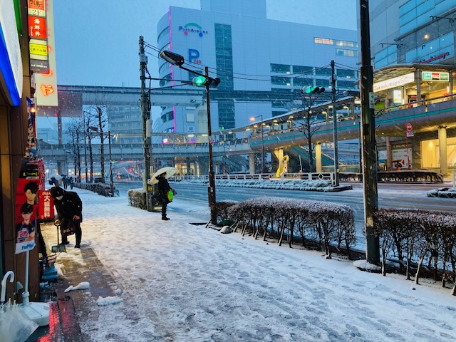 まぁ……こうなりますよね……！⛄降雪積雪の西東京は立川です。/ “Spring”のフェアですよ！！