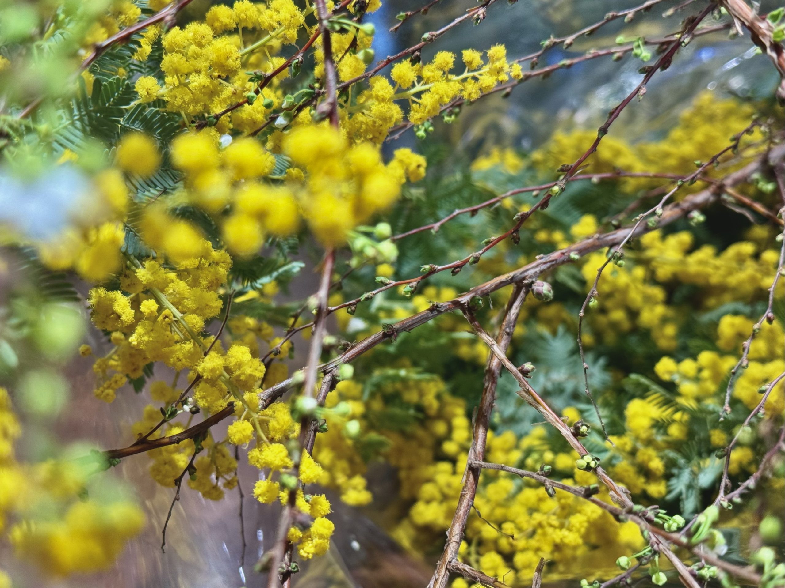 3月に突入🌼