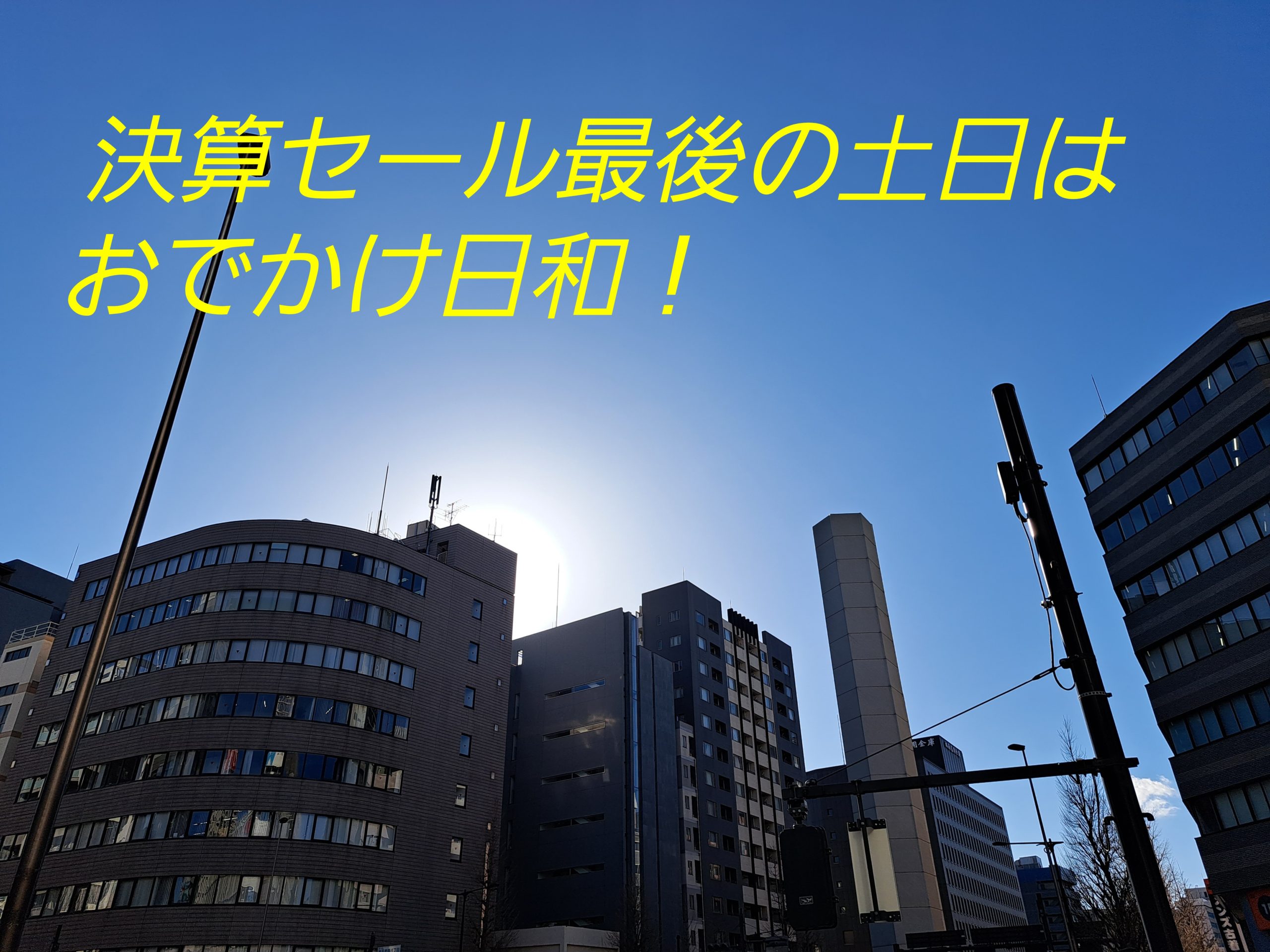 土日はおでかけ日和みたいです！