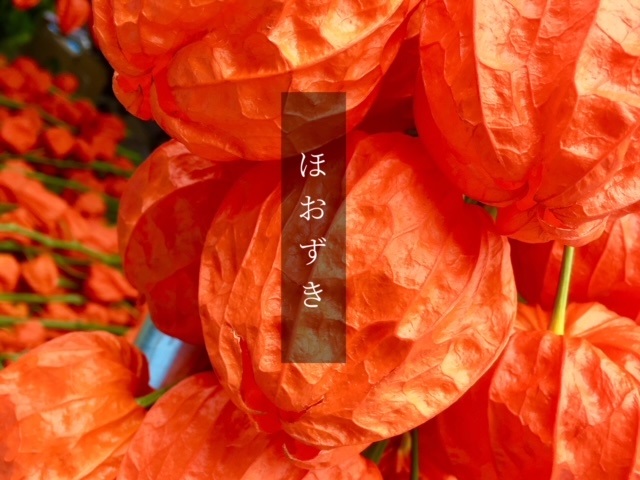今年こそ行きたかったのになぁ……の、ほおずき市🎐コートのご注文ありがとうございます…!!!