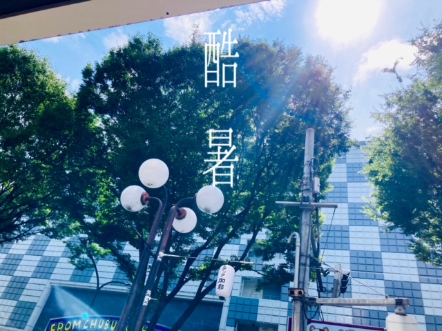 提携駐車場の仕様が変わりました(ﾊﾟｰｸｱﾍﾞﾆｭｰ)🚗夏のお出かけには〝晴雨兼用〟ですね