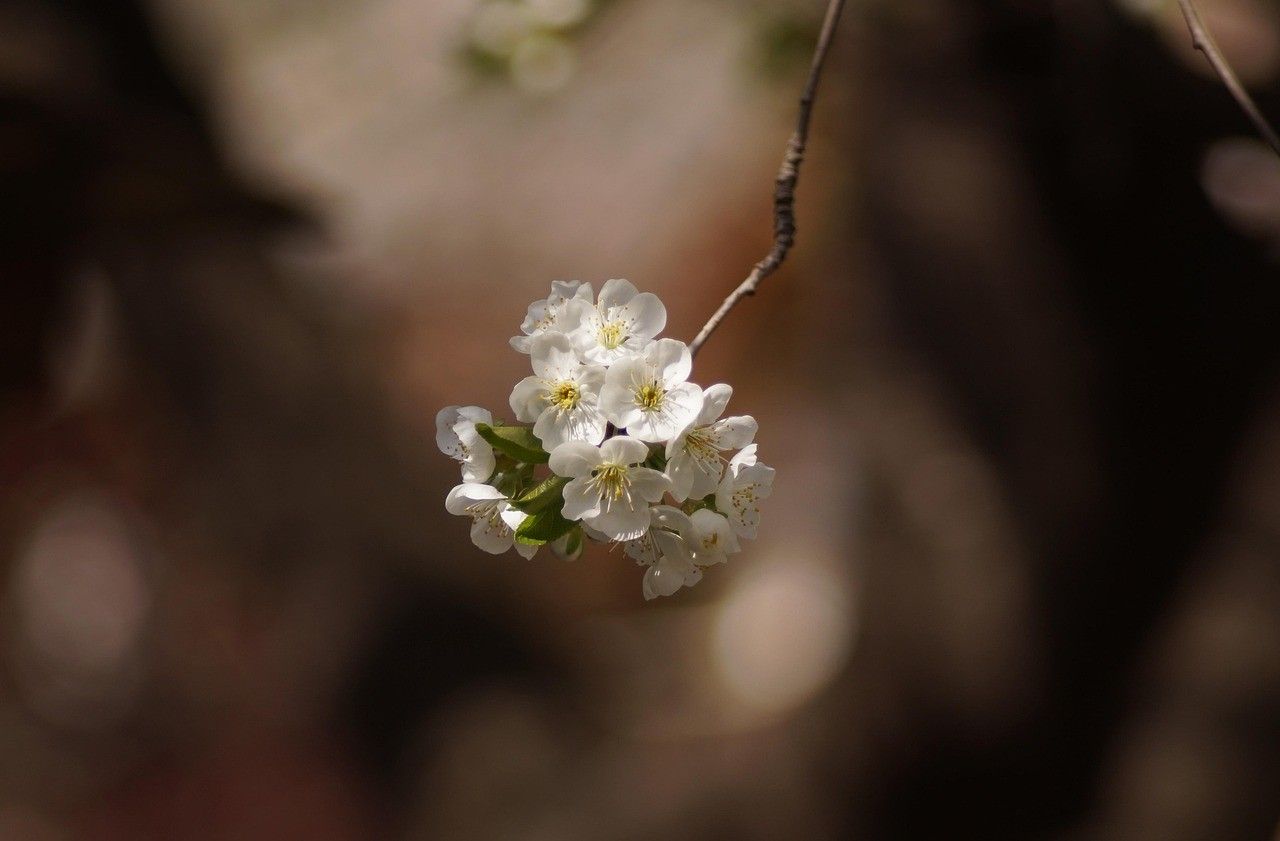when will spring come?