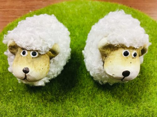 今ならどちらも選べます！