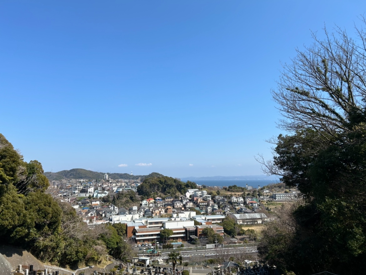 海
