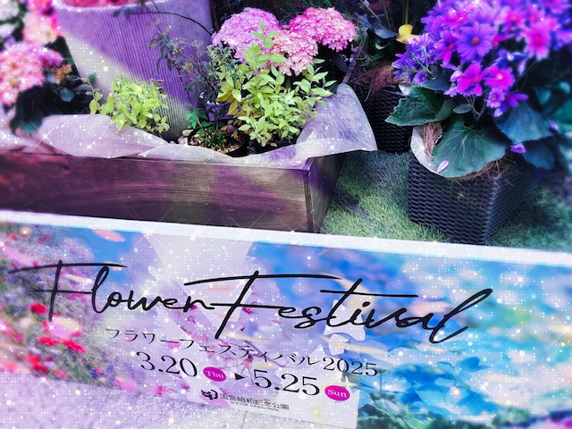 あちこちでフェスティバル開始ですよ🌼ちまちまと店頭用のご案内を作ったり……/新生活フェア開催中です～