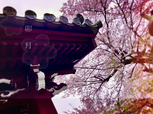 新生活フェアでワイシャツはいかがですか？🌸思ったより？長持ちだったような…/やっと観に行けました