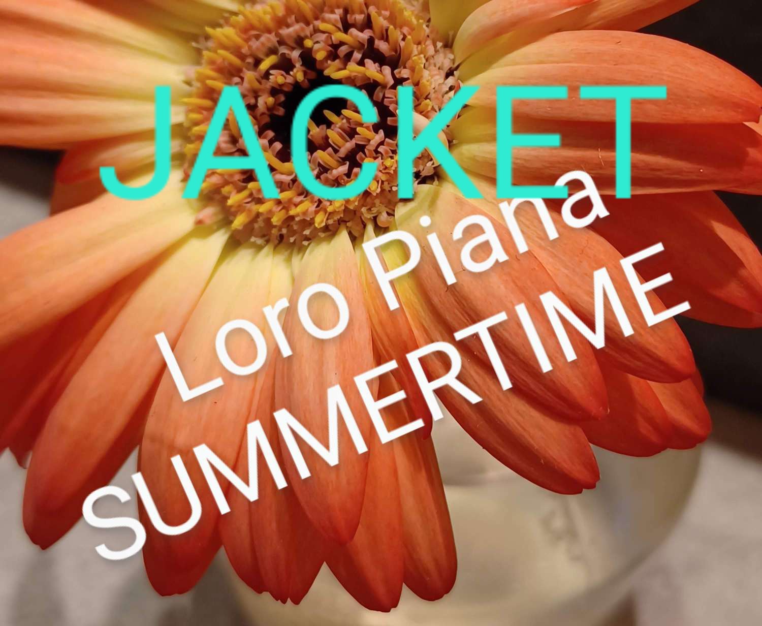 Summer Jacket  Loro Piana -SUMMERTIME- #3