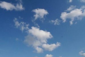 6月なのに真夏のような。。。