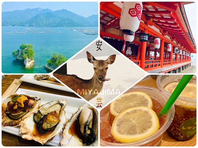 瀬戸内海は、あまりに静かで穏やかで🦌またとんでもなくニッチな話。/もうコートの先行受注が始まるんですって。