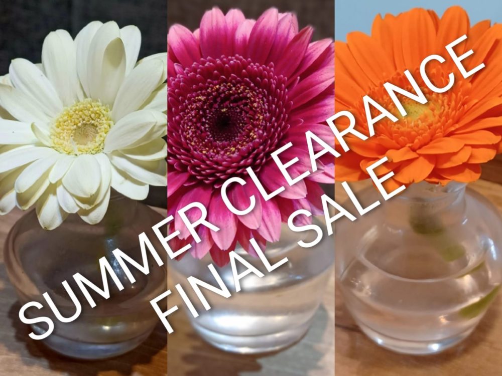 SUMMER CLEARANCE FINAL SALE
