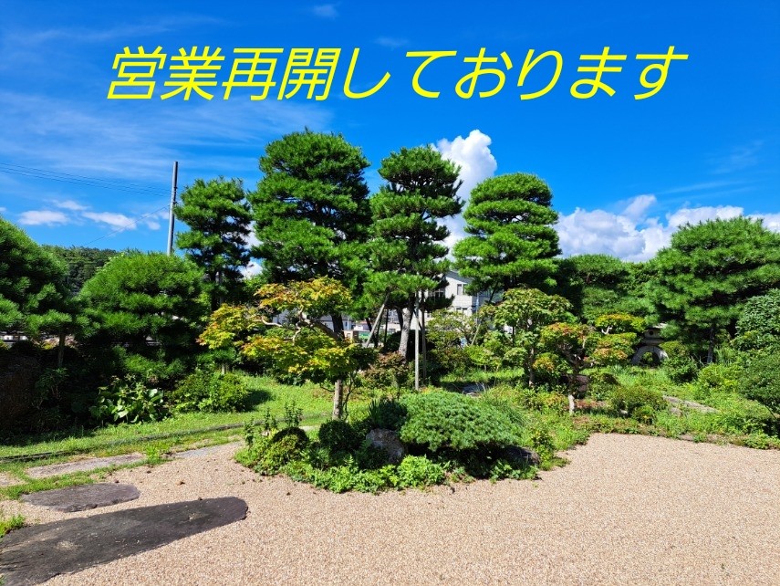 お休みを頂きまして誠にありがとうございます。