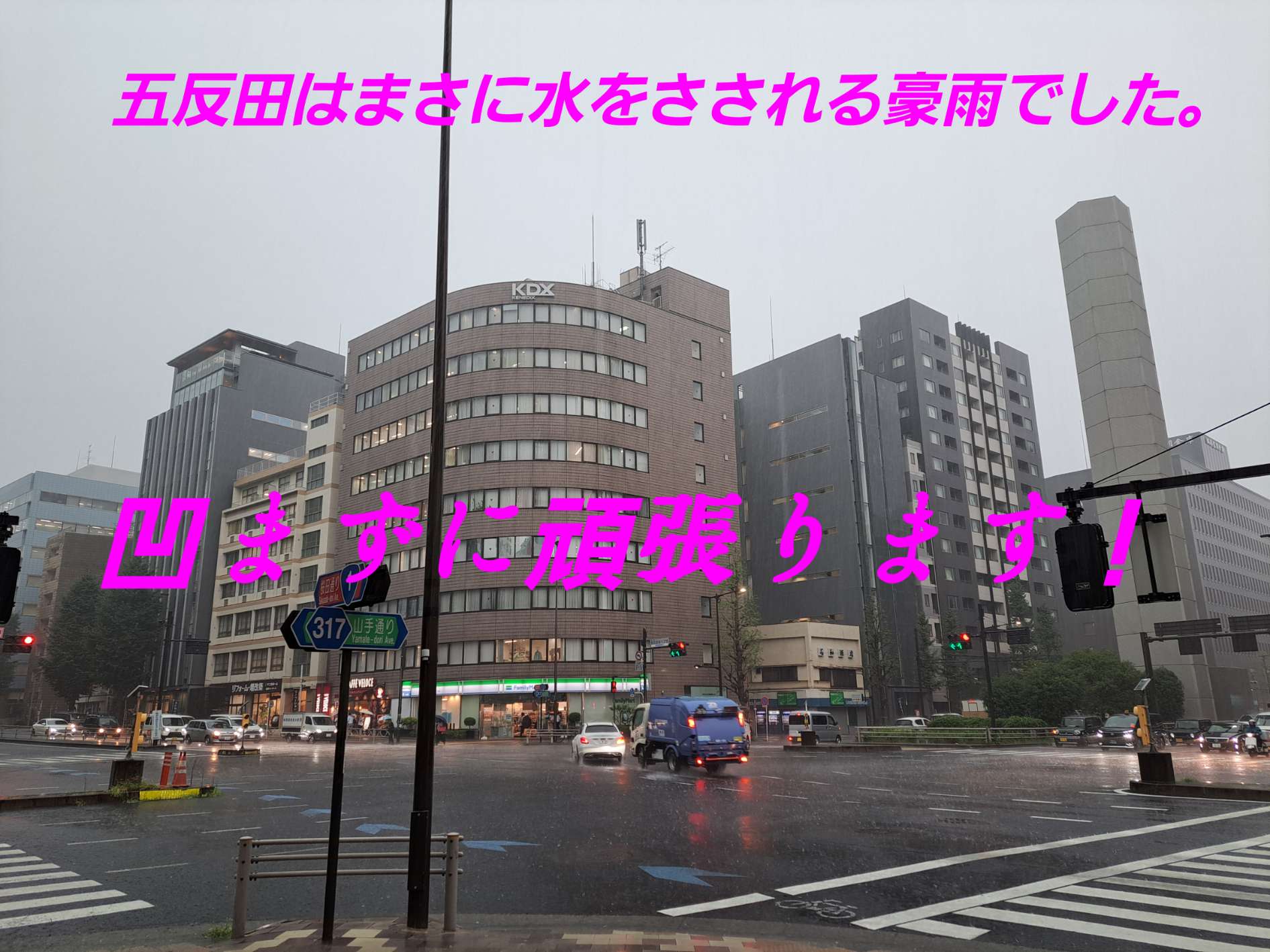 凄まじい豪雨でした。