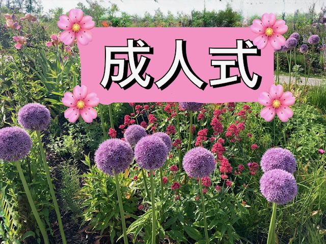 成人式用レディーススーツ