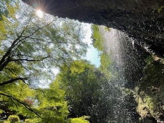 今年の夏も終盤へ𓂃🍃半期決算SALE開催中！