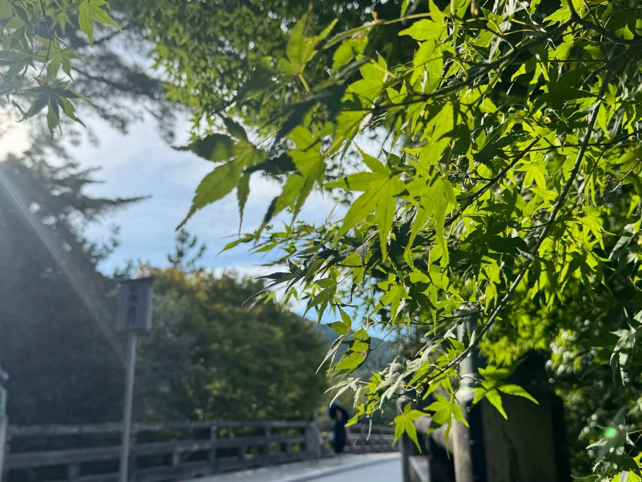 最近のこと。