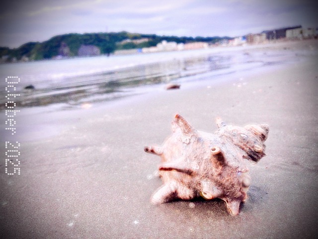 遠くで野分が渡る日に🐚「ハリスツイード」秋冬物ジャケットいかがですか？？/お得意様特別ご招待会は今週末26日まで。