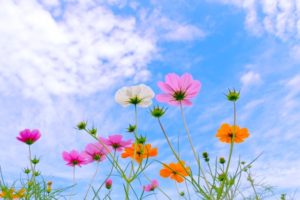 お客様の仕上がり　2