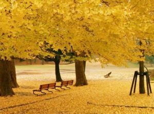 冬素材でも軽くソフトに