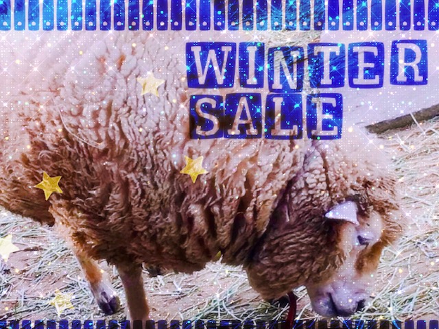 あたたかい生地に包まれたくなる気温です🐏🐑人形町の記憶/そういや酉の市でしたね/WINTER SALE開催中です！