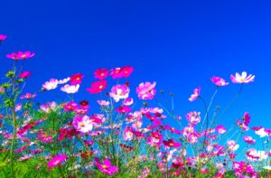 そろそろコートですね