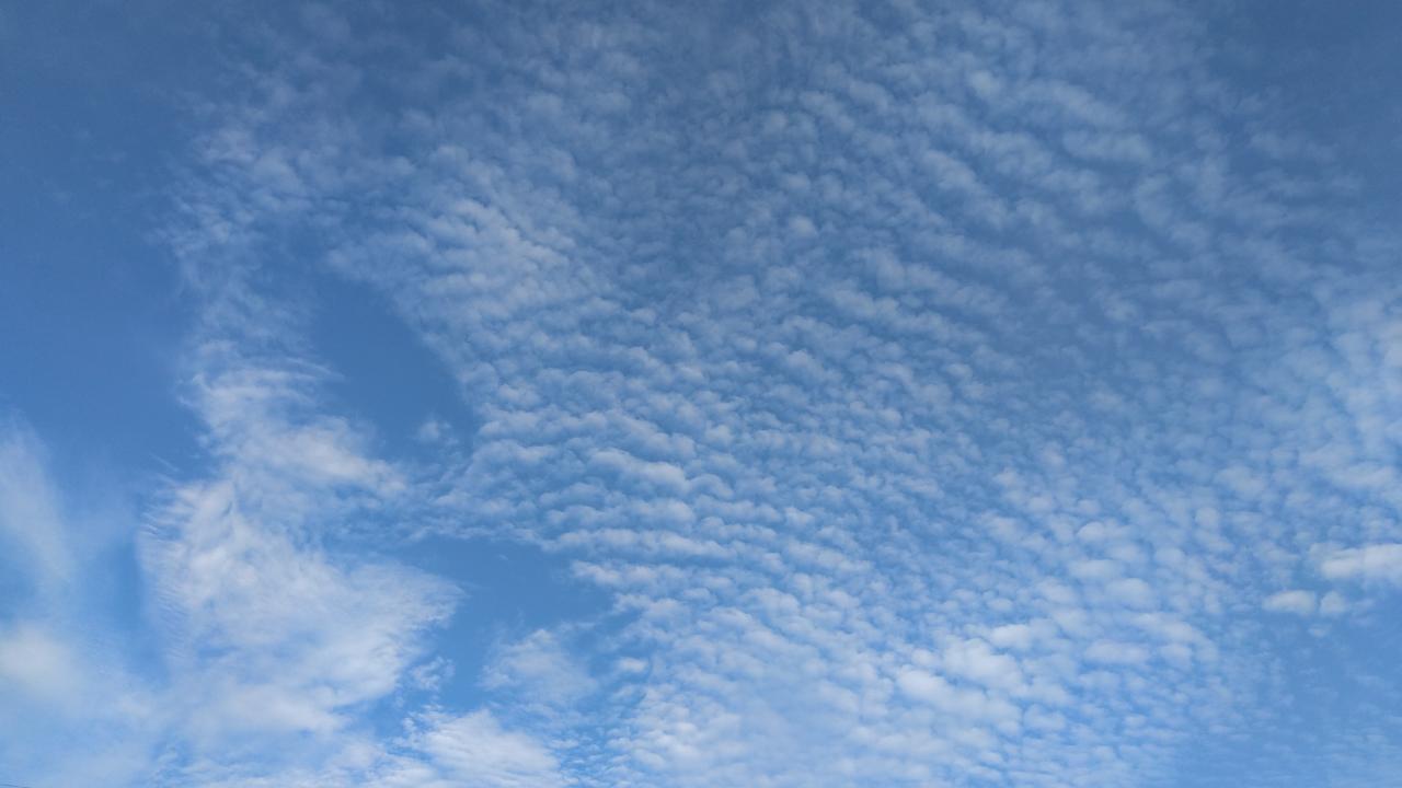 レディーススーツお仕立て上がりのご紹介