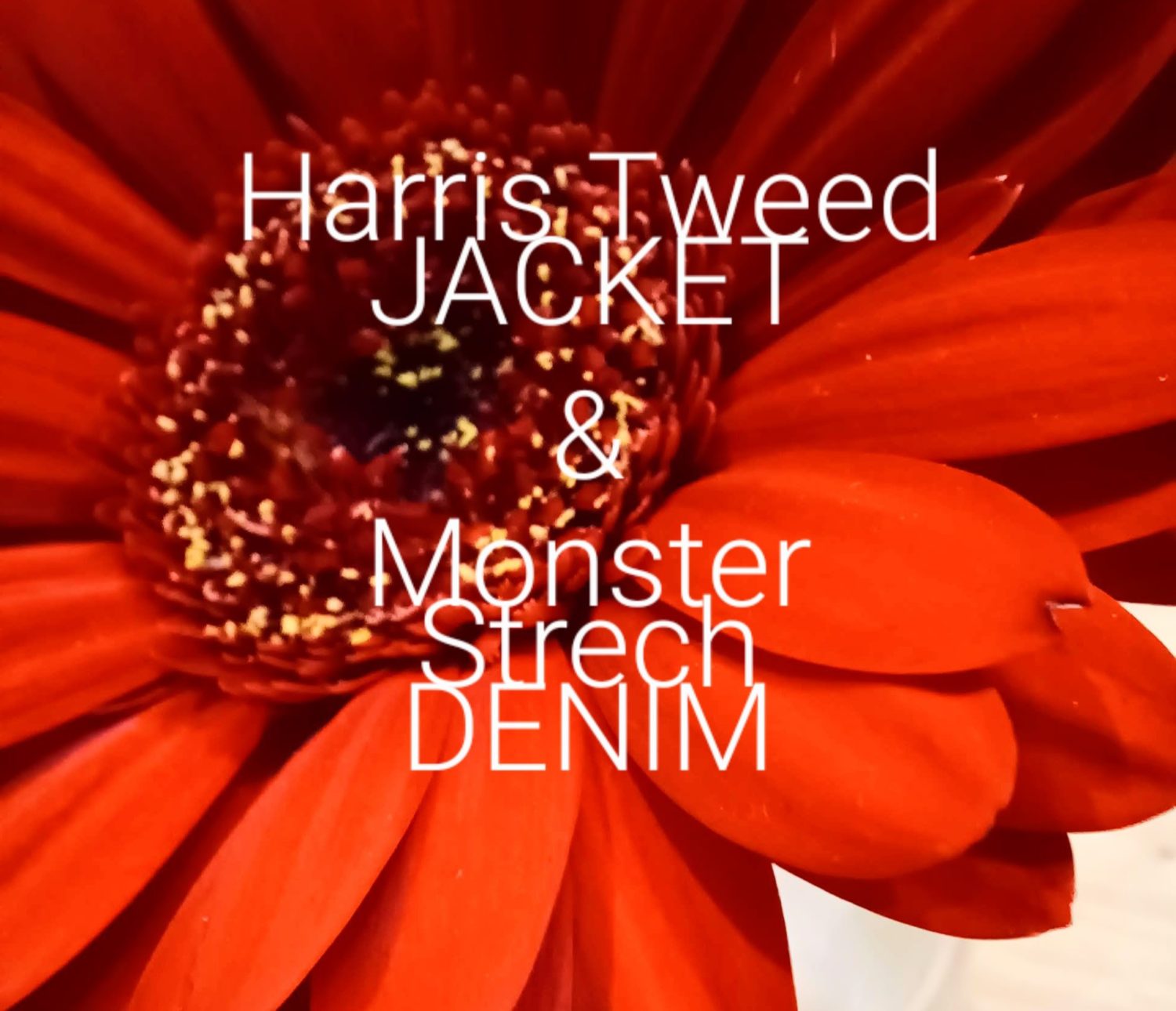 Harris Tweed×Monster Strech Denim