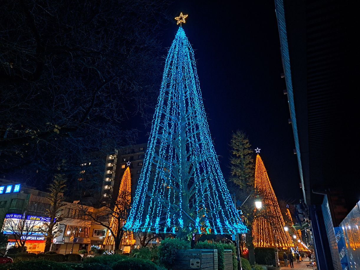 ようやく冬になりましたね。