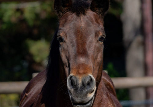 2026年もよろしくお願いいたします☺