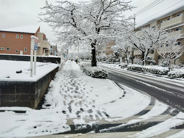 足元にお気をつけて、週明けも宜しくお願いします。