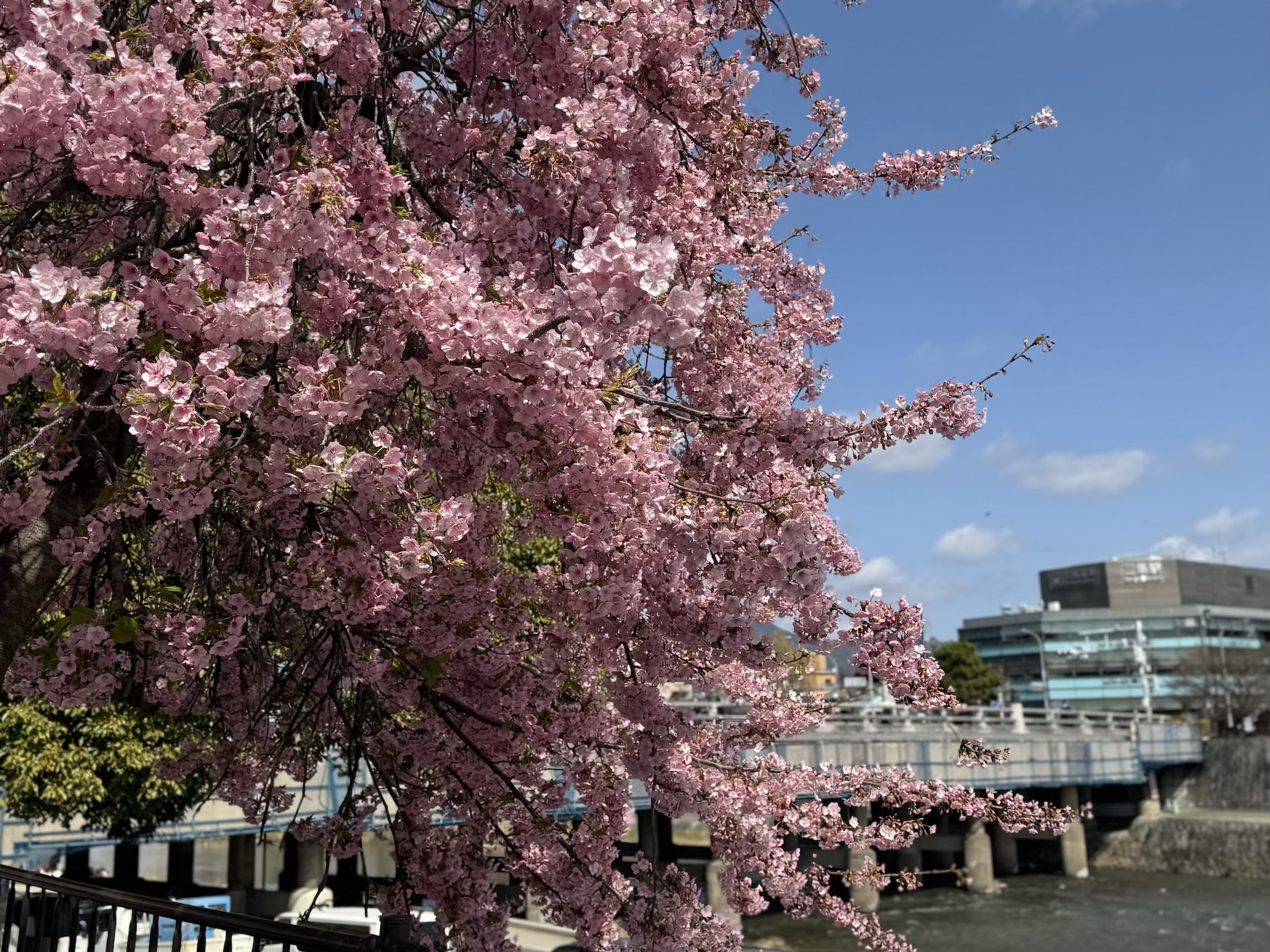 『またお会いできる日を楽しみに』