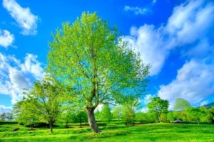 海外からのお客様3