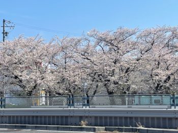 新生活、おめでとうございます！