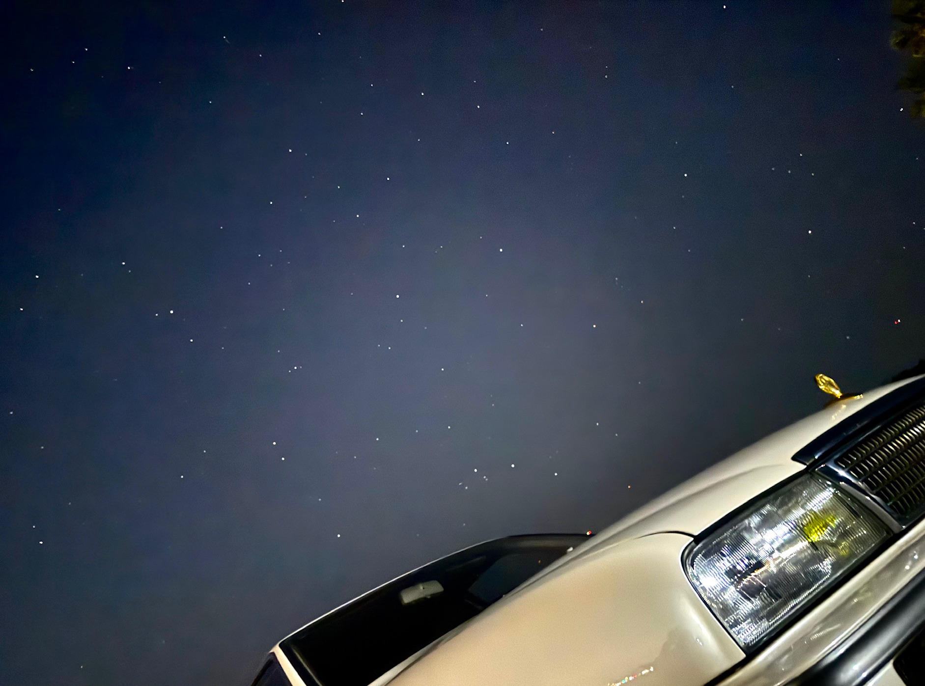 春夏もビッグヴィジョンにお任せ！！