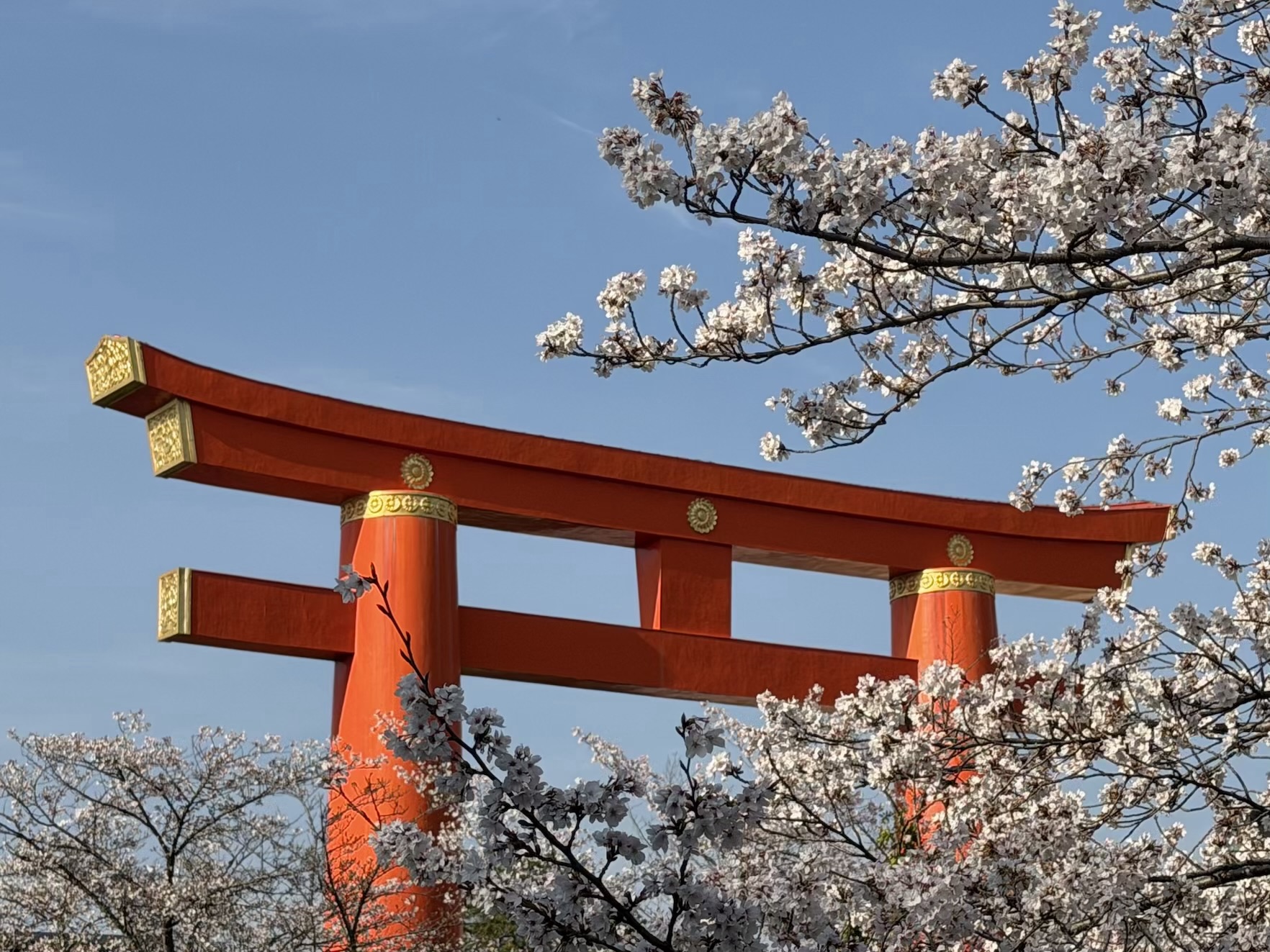 季節を感じたい今日この頃『新生活フェア』開催します！
