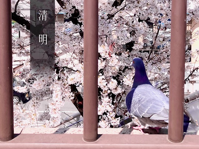 〝清明〟を迎えて🌱選ぶということは難しい/7Days新生活フェア中旬過ぎまで開催中