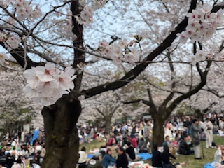 これからも吉祥寺店をよろしくお願いします🌸