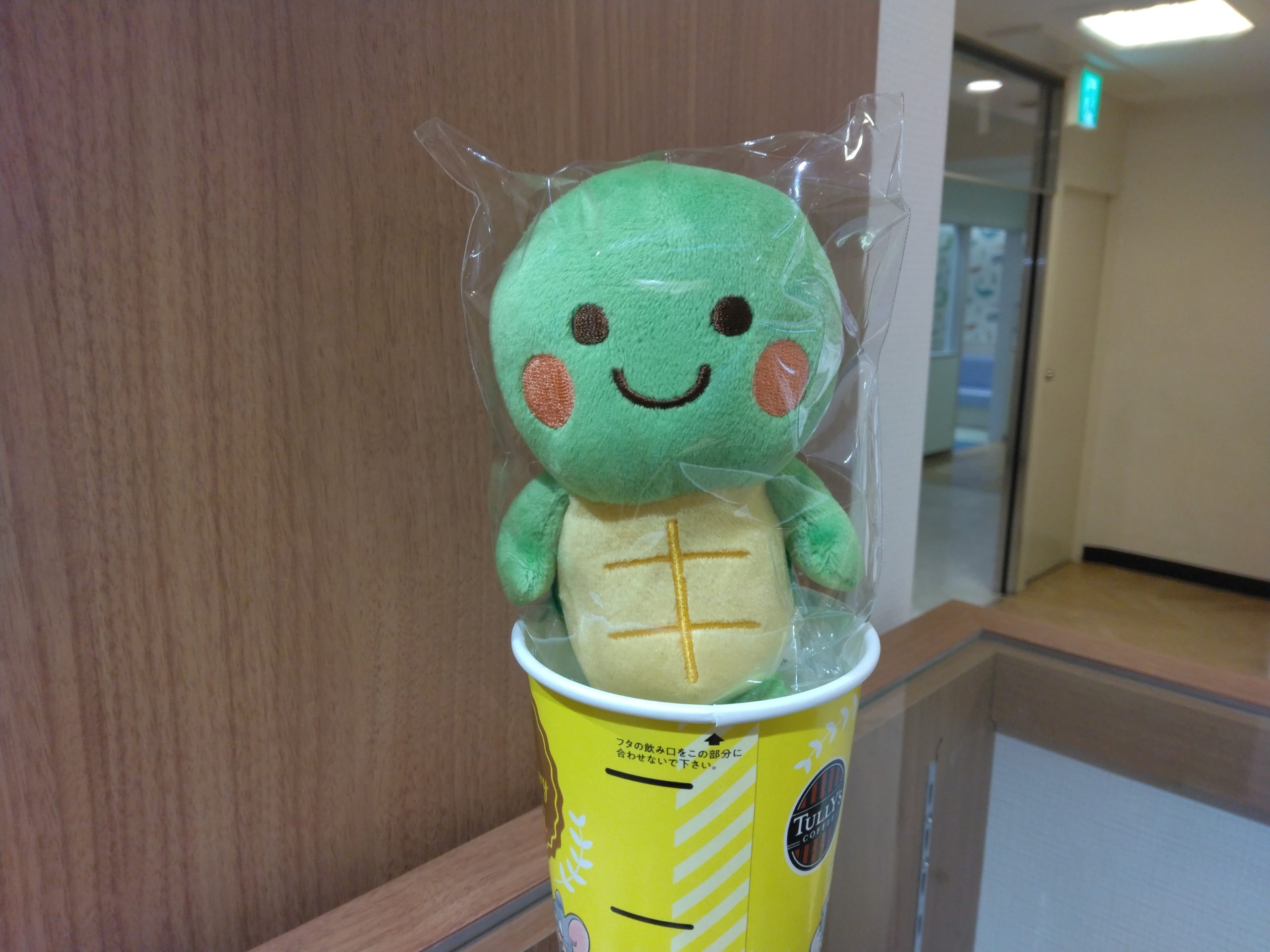 もう初夏ですね